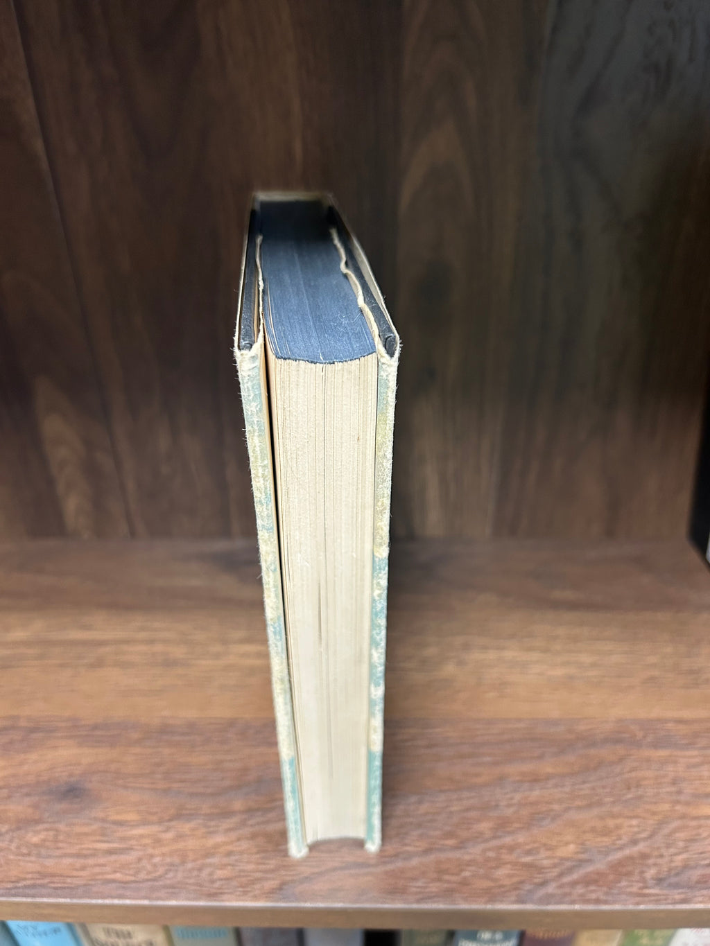 A Portrait of Lord Nelson- Oliver Warner 1959.        013