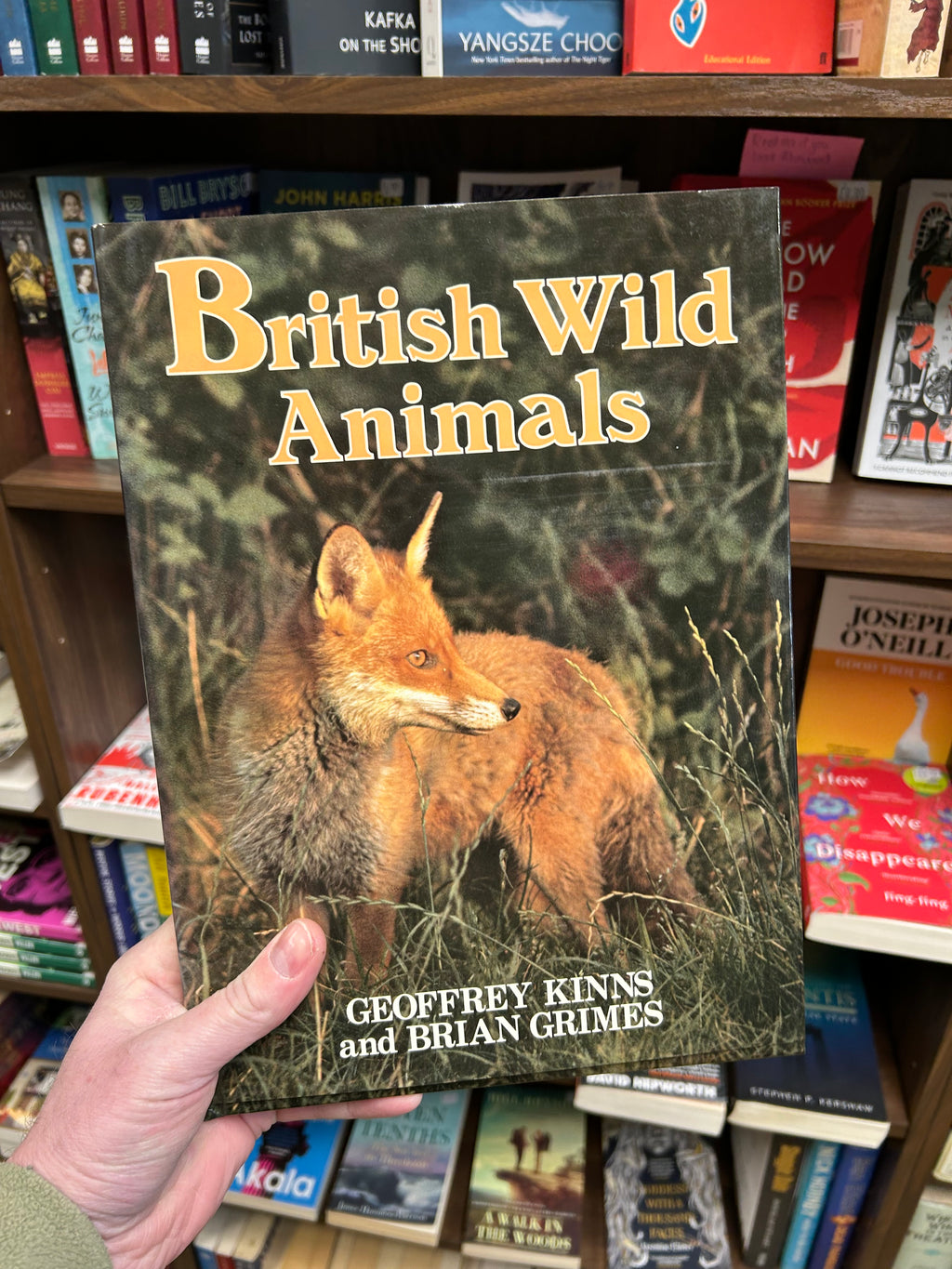 British Wild Animals- Geoffrey Kinns and Brian Grimes (1981) 045