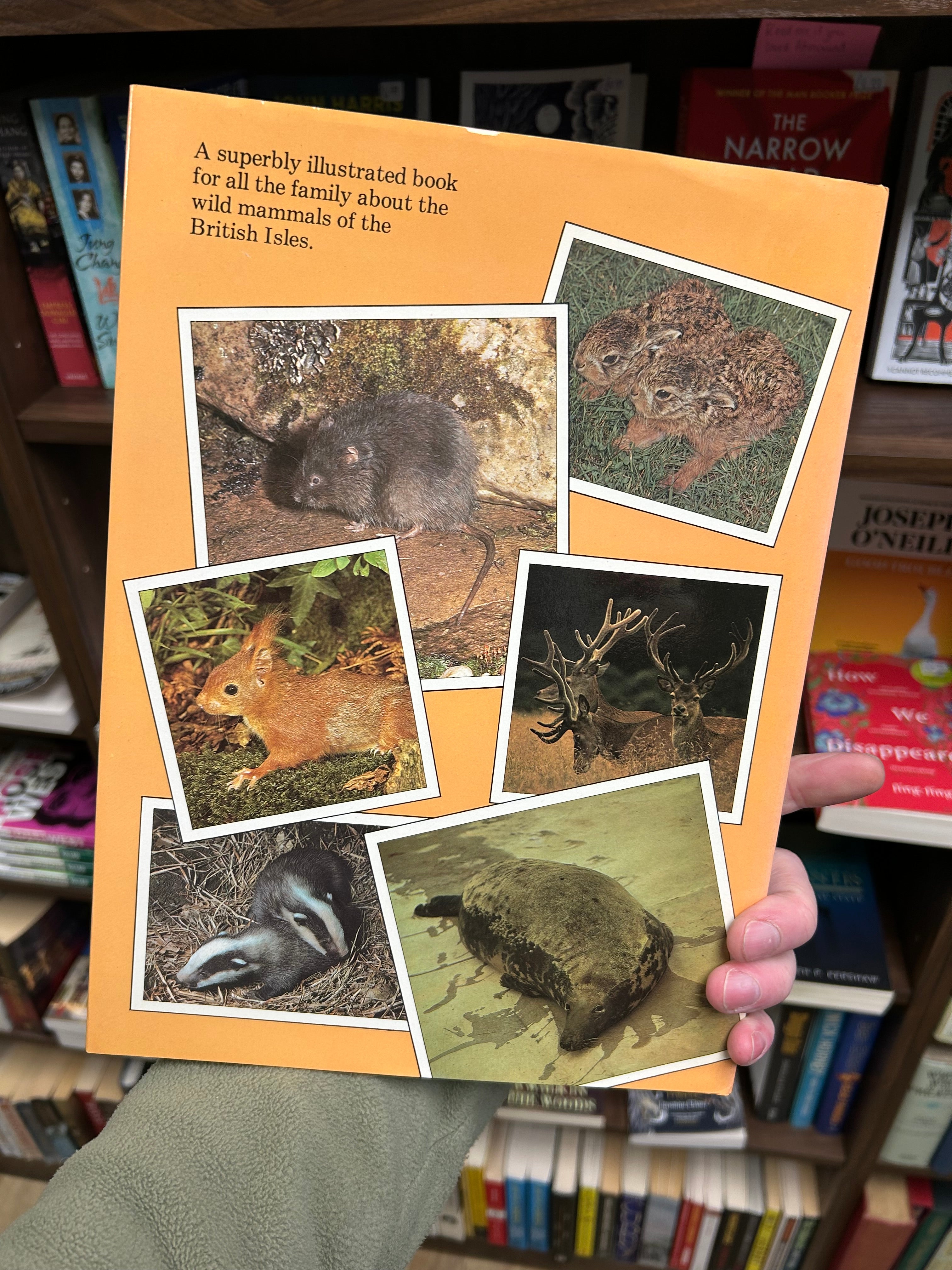 British Wild Animals- Geoffrey Kinns and Brian Grimes (1981) 045