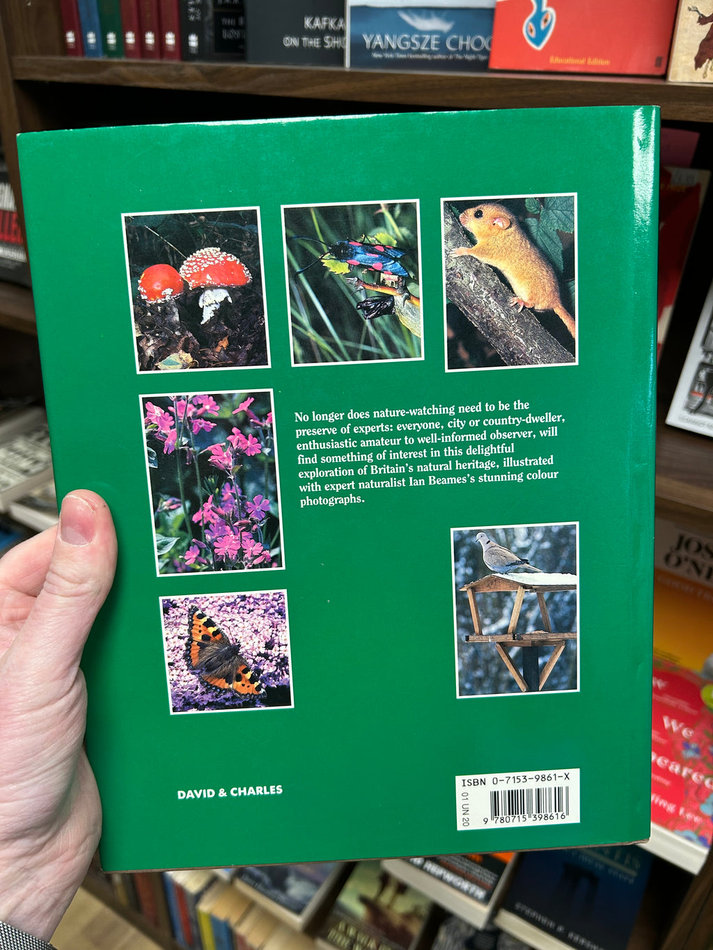 Understanding Britains Wildlife- Ian Beames (1991) 044