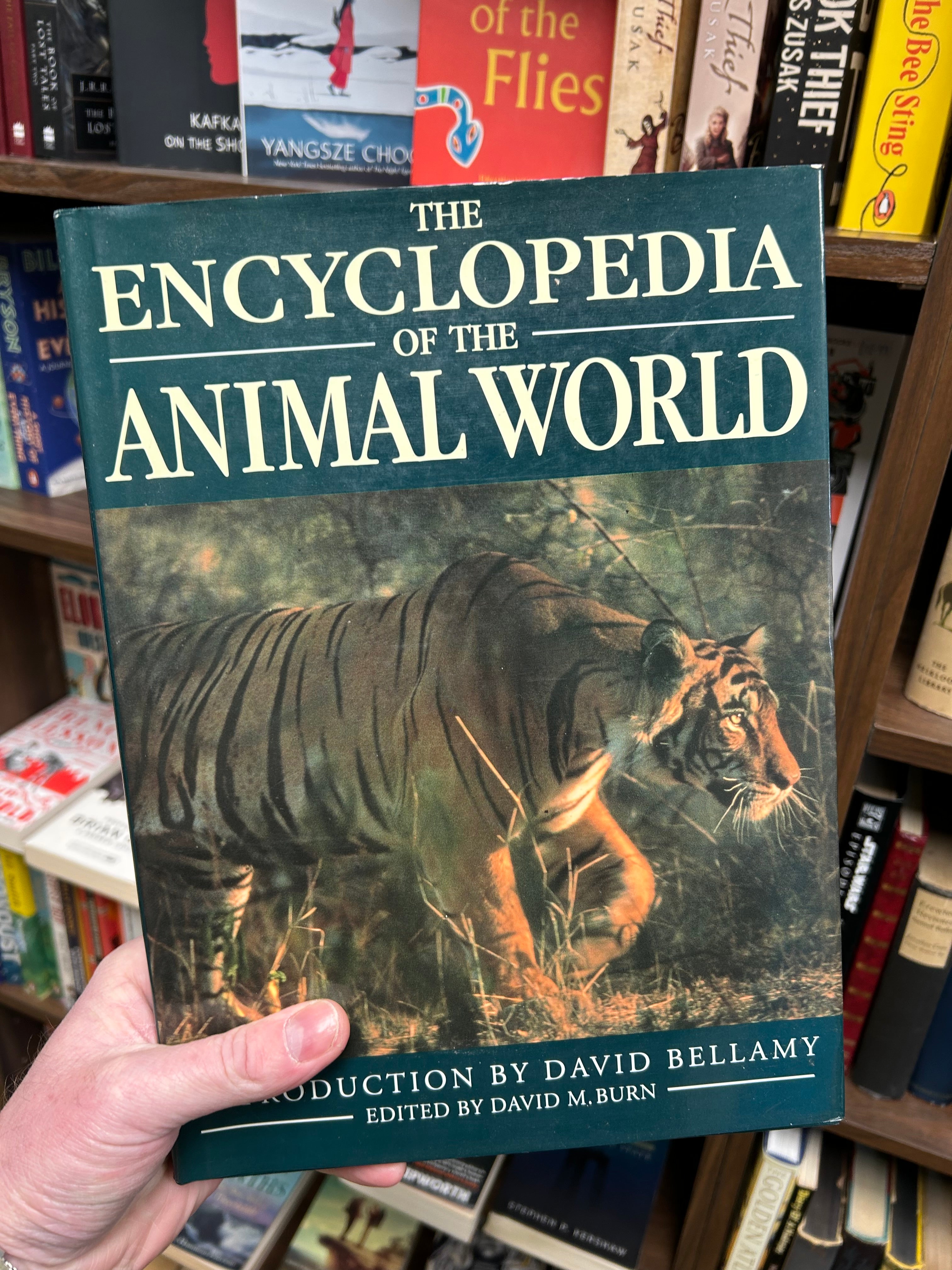 The Encyclopedia of the Animal World- David Bellamy (1991) 040