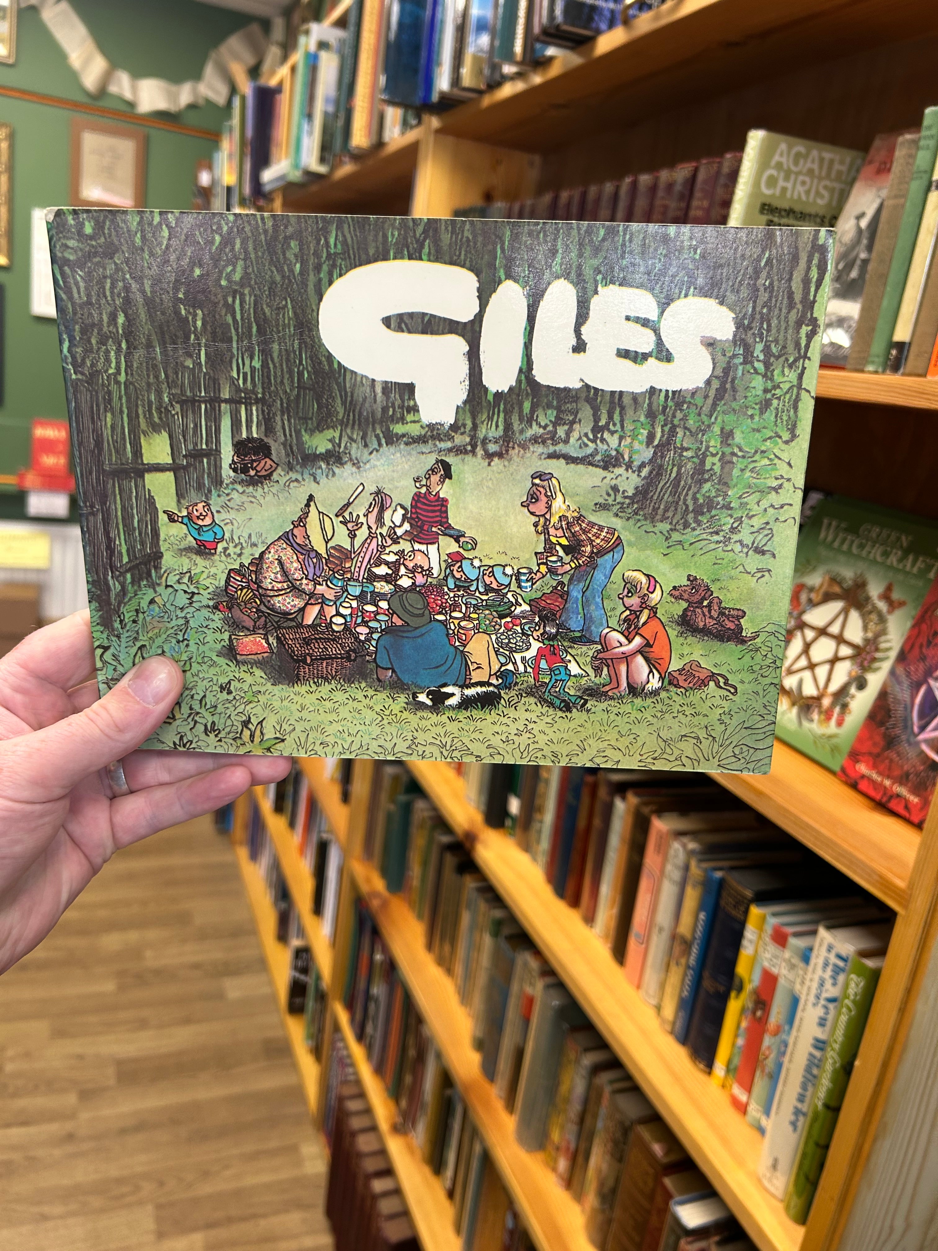 Giles Cartoons,Twenty seventh series 1974