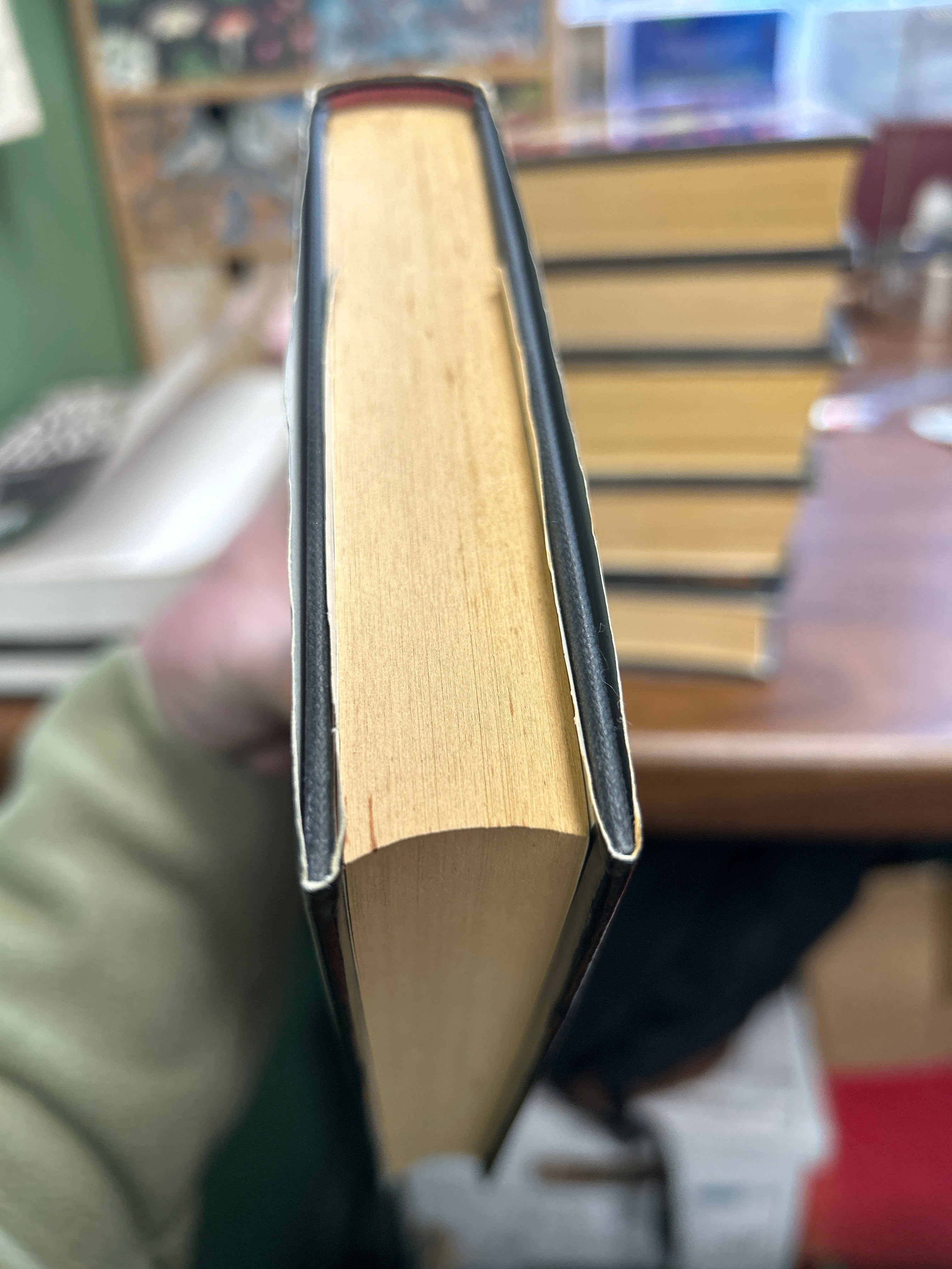 Hideaway- Dean R m.Koontz (1995) 072