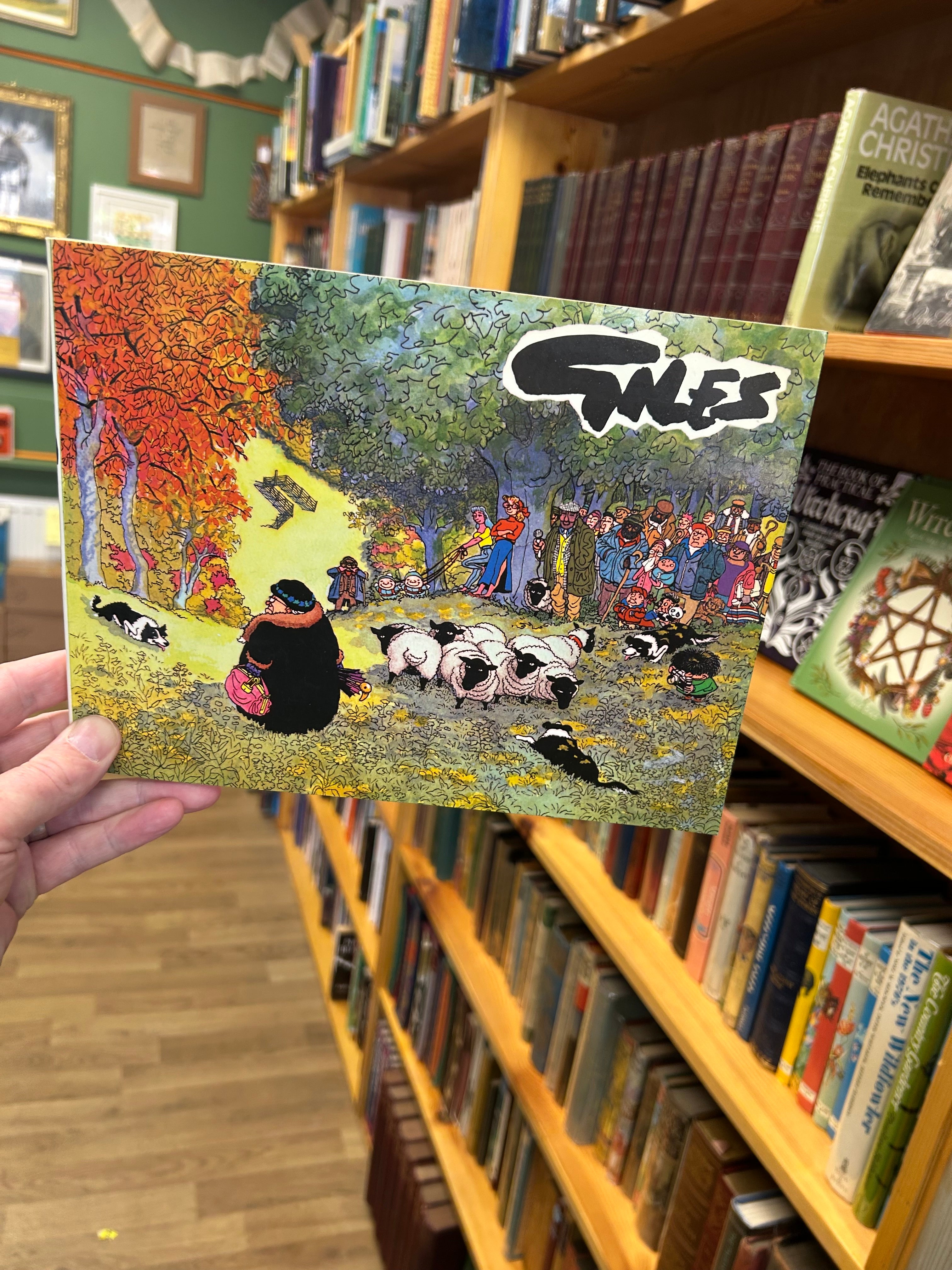 Giles Cartoons, Thirty Ninth series 1985