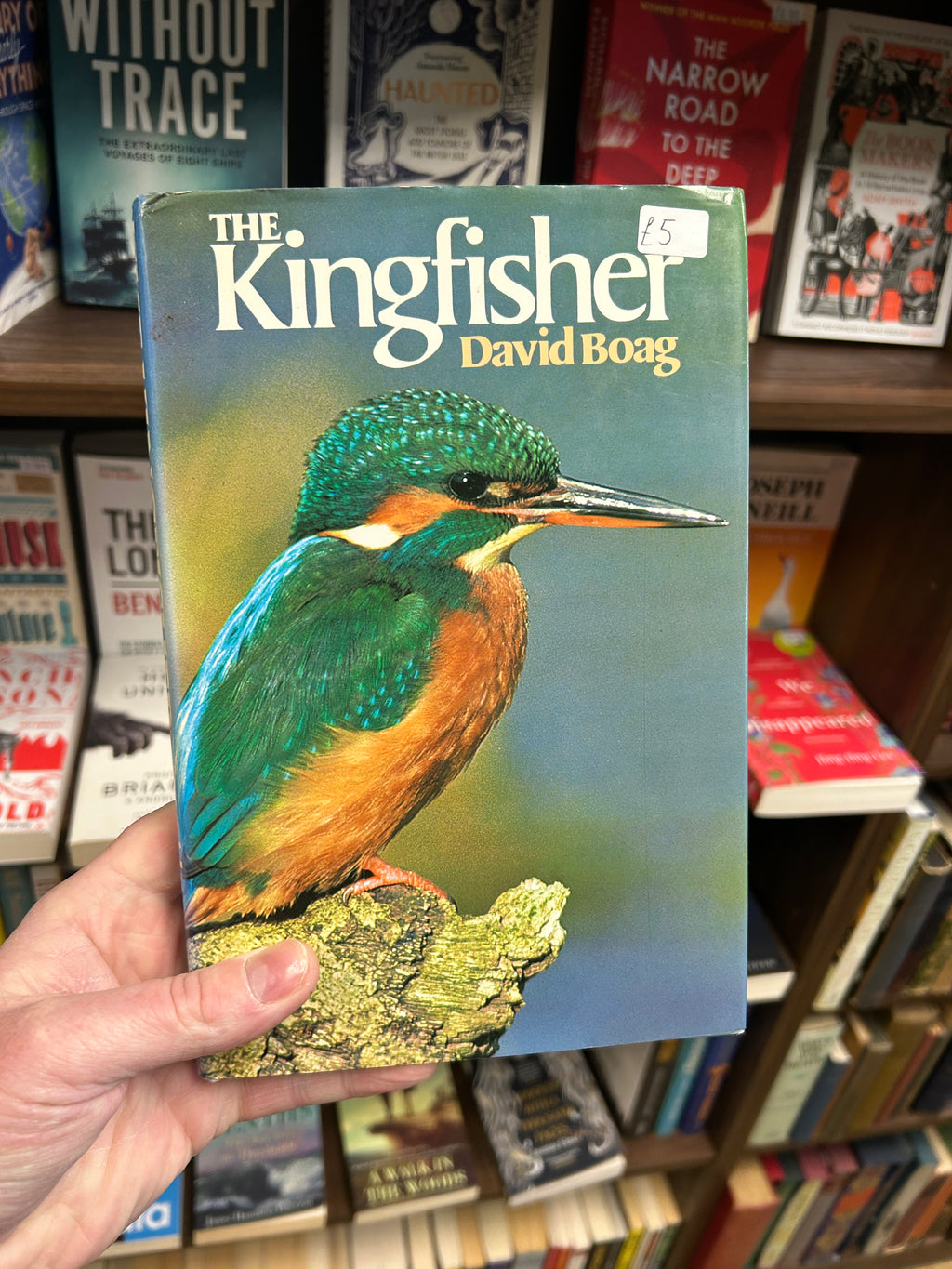 The Kingfisher- David Boag (1982) 036