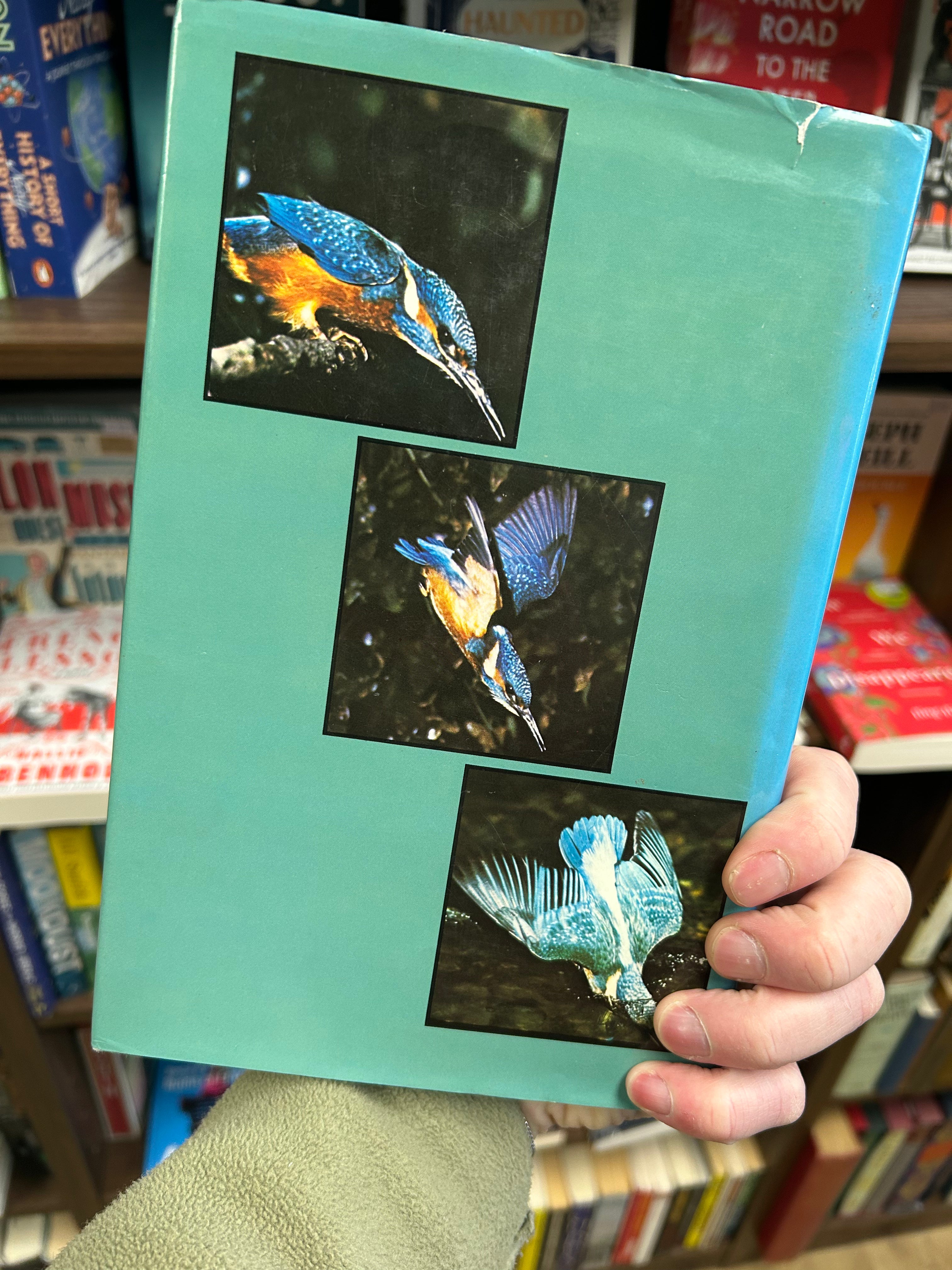 The Kingfisher- David Boag (1982) 036