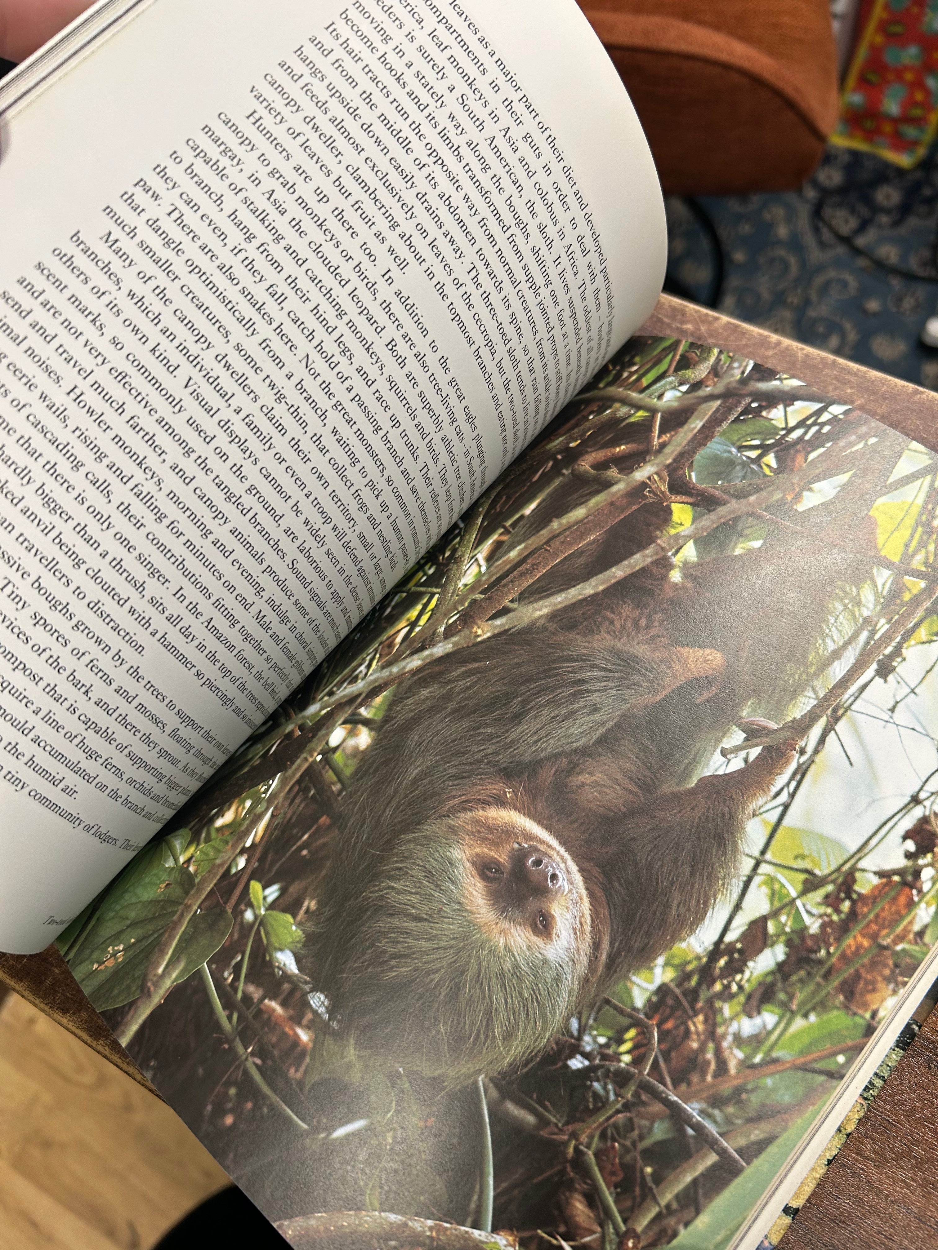 The Living Planet- David Attenborough 122