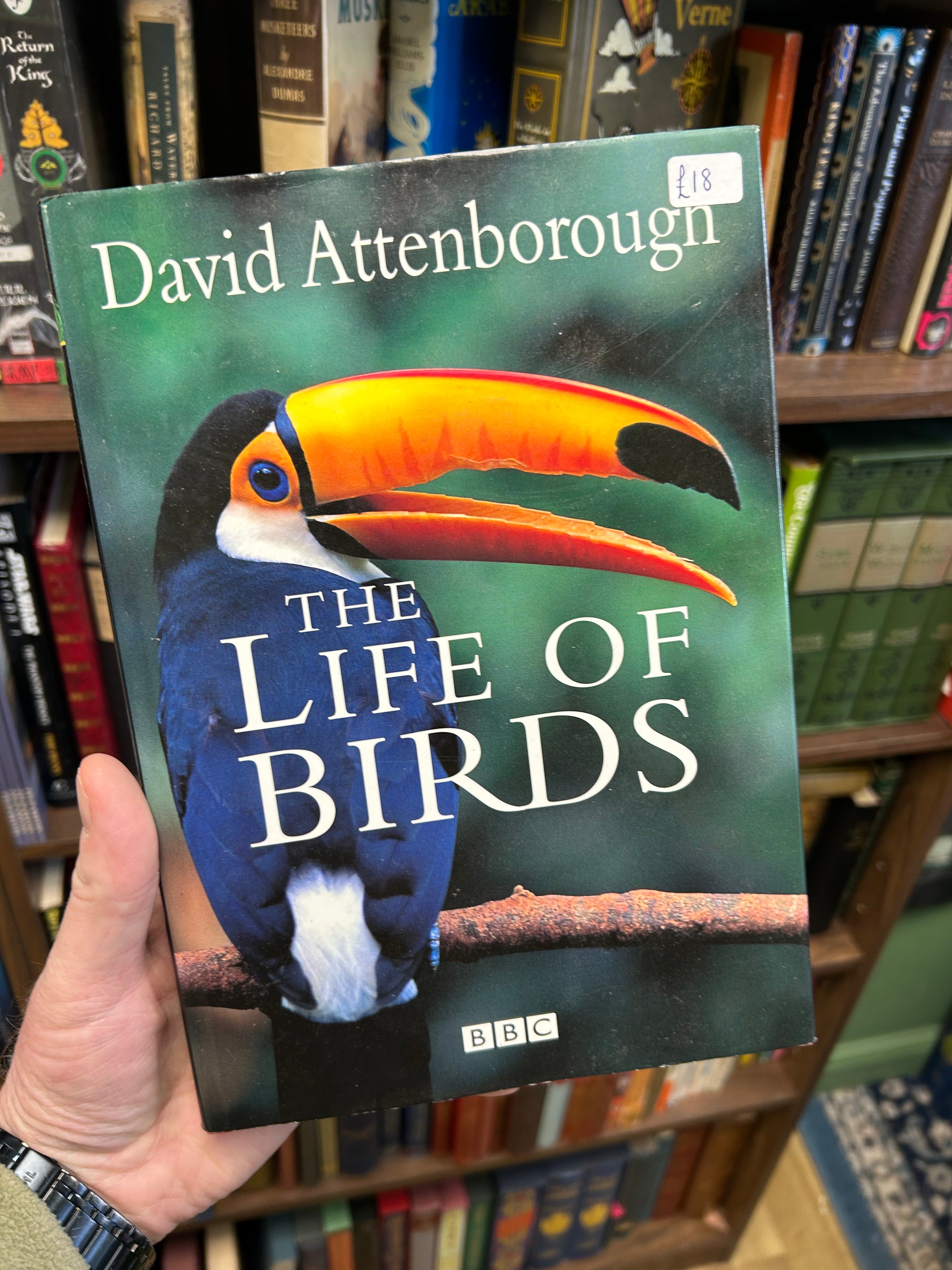 The Life of Birds- David Attenborough (1998) 121