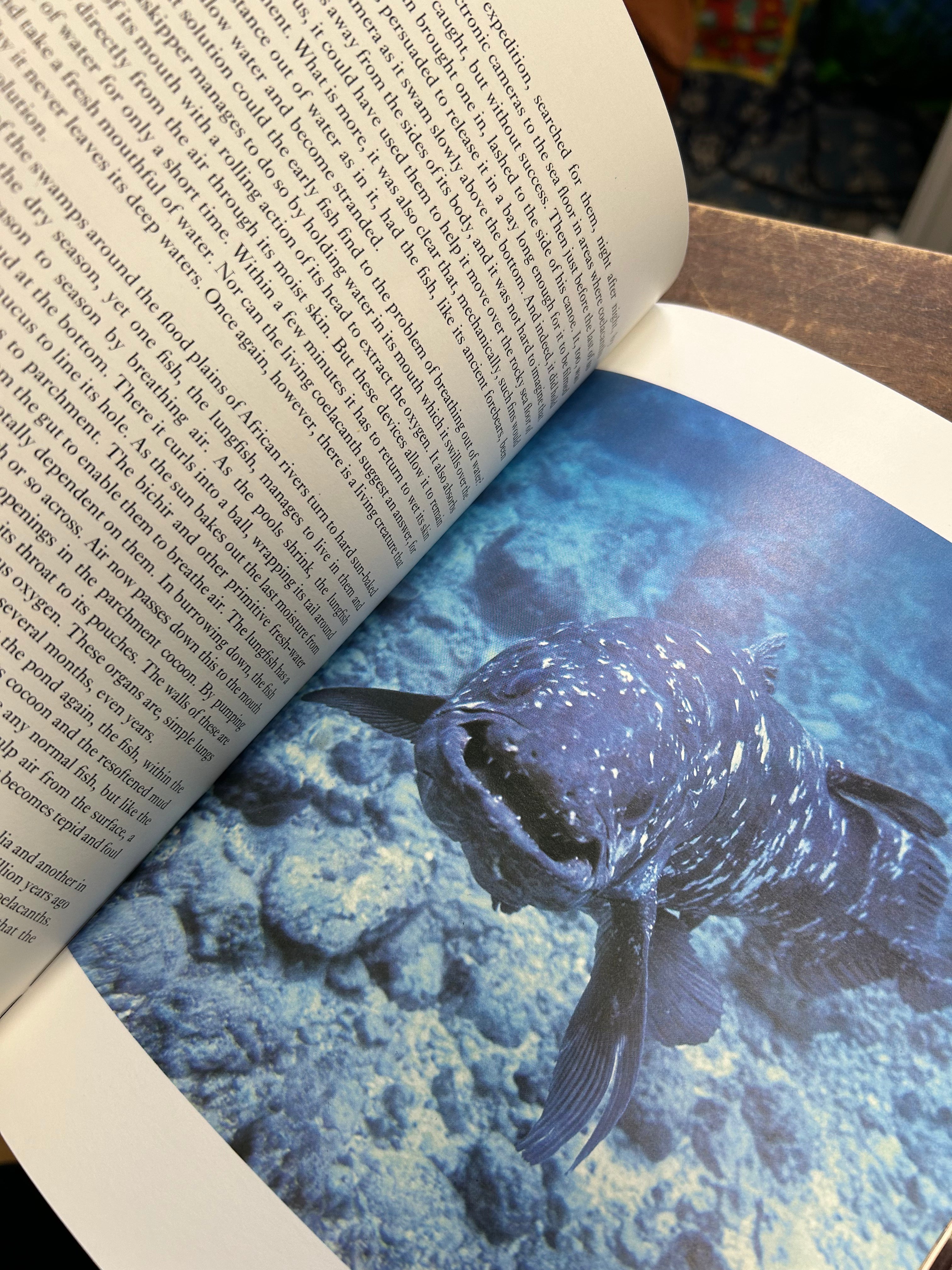 Life on Earth- David Attenborough . 125
