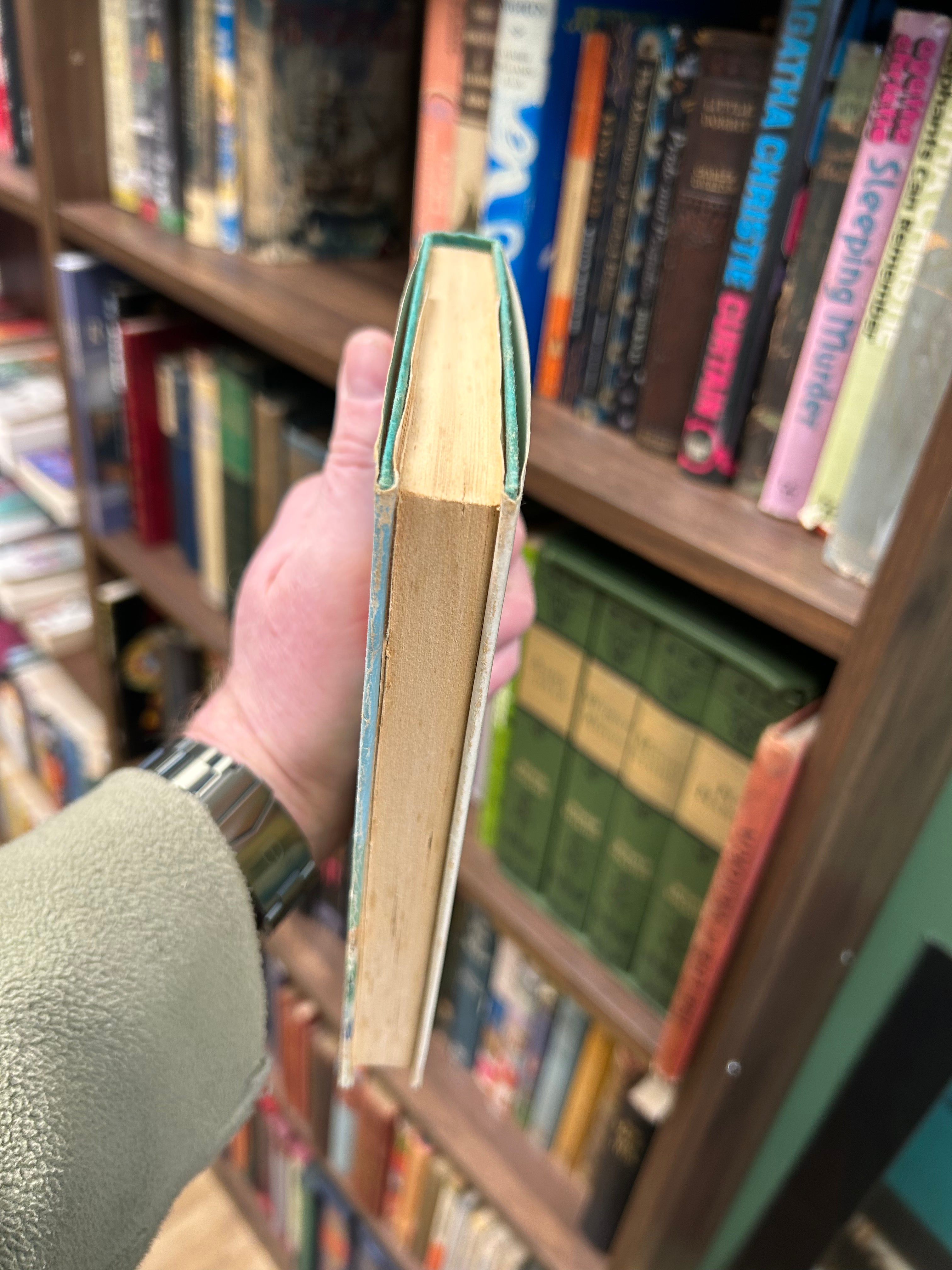 Susan Interferes- Jane Shaw. 128