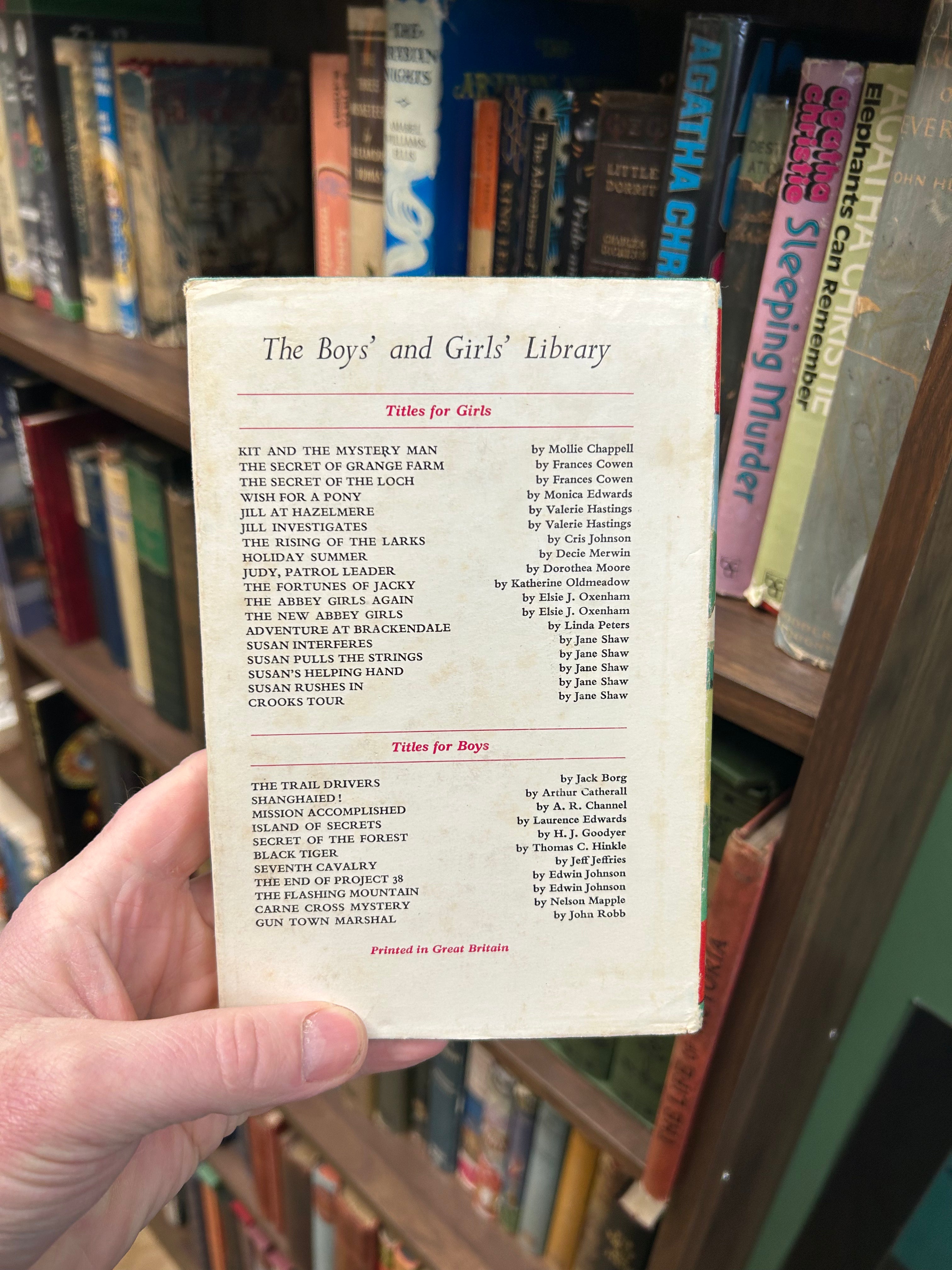 Susan Interferes- Jane Shaw. 128