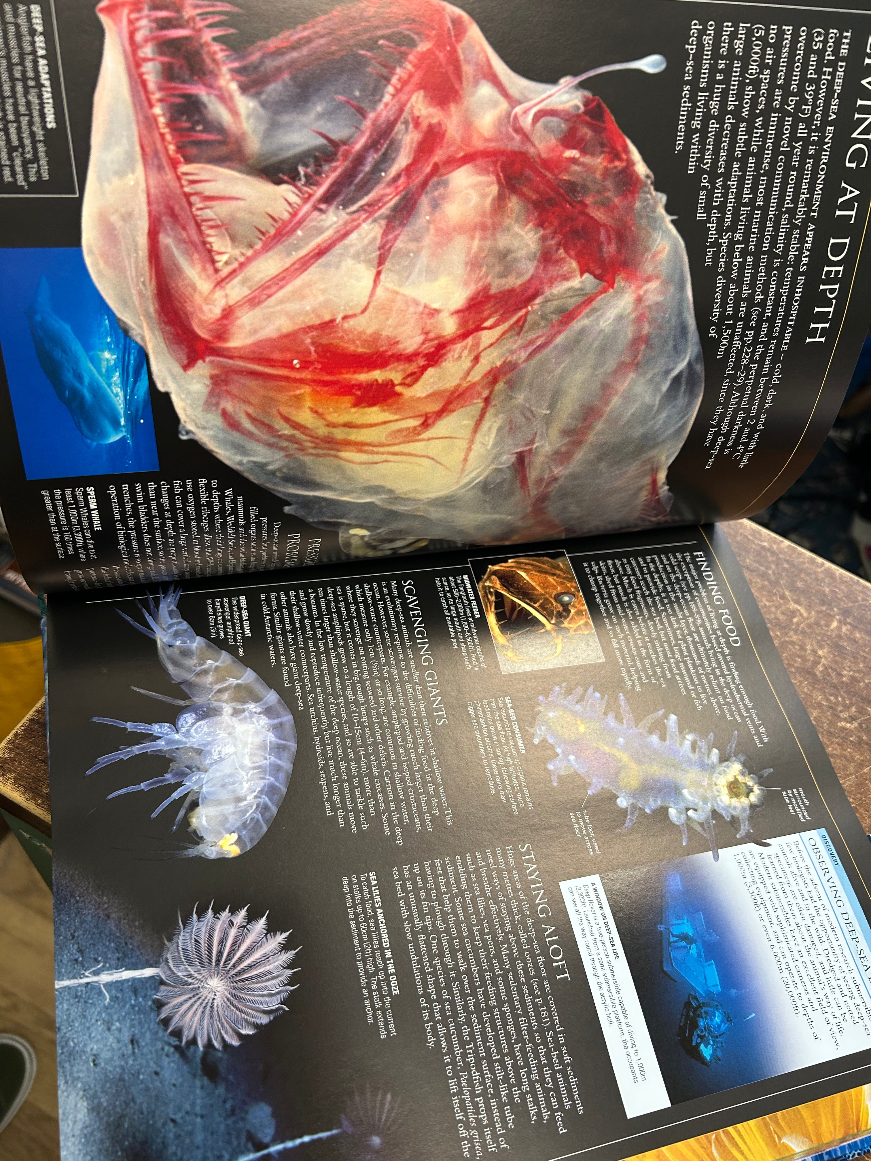 Ocean-DK, Introduced by Fabien Cousteau. (133)