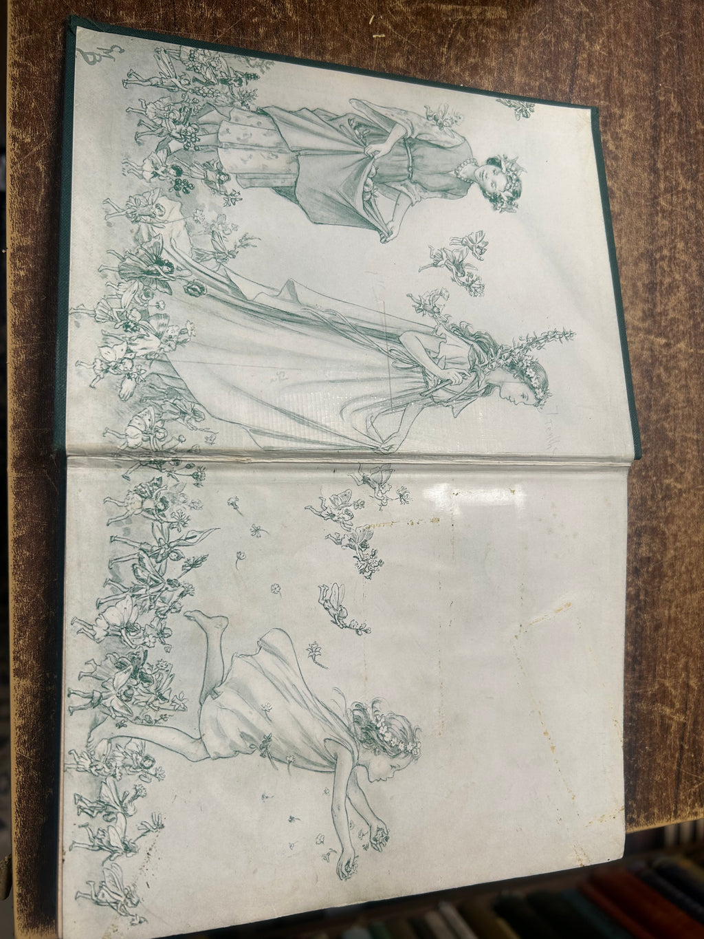 The Book of The Flower Fairies- Cicely M.Barker. (147)