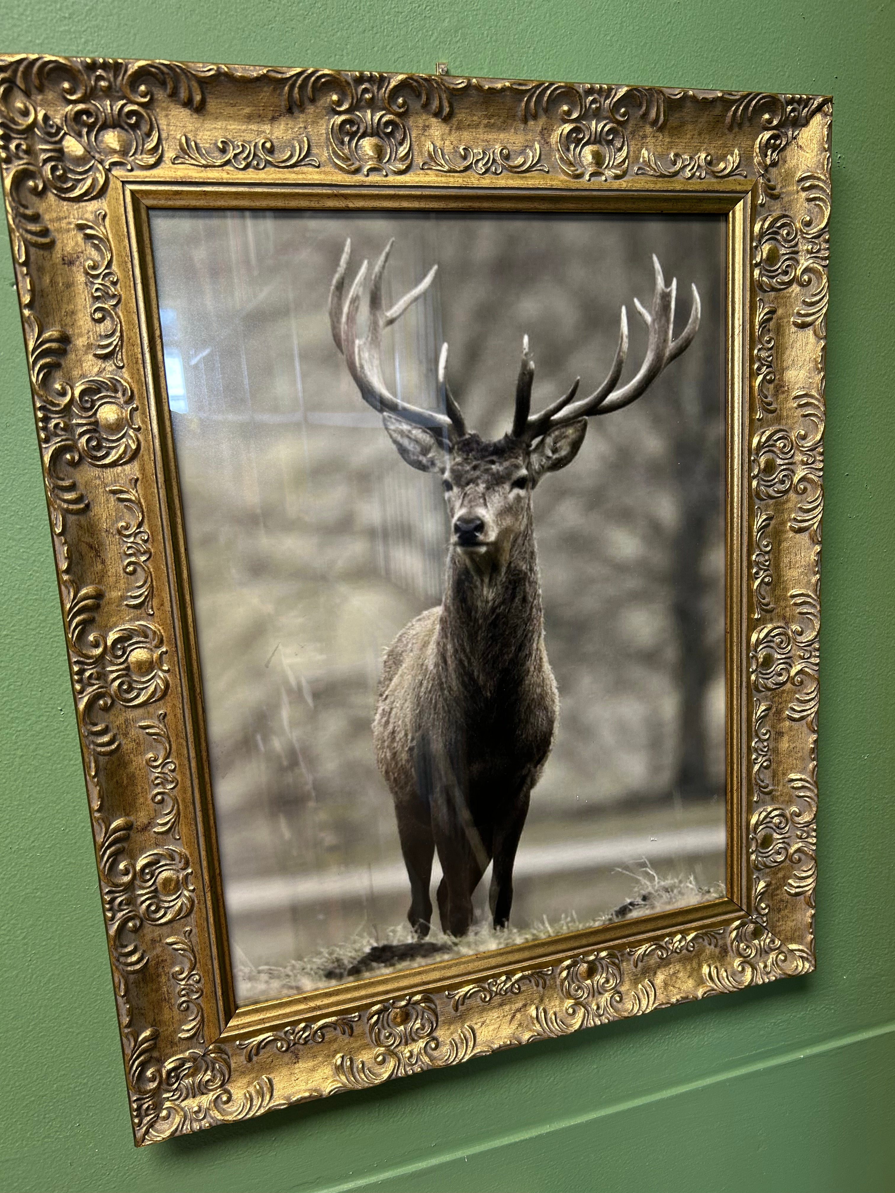 “Red Deer Stag” by Roscoe.
