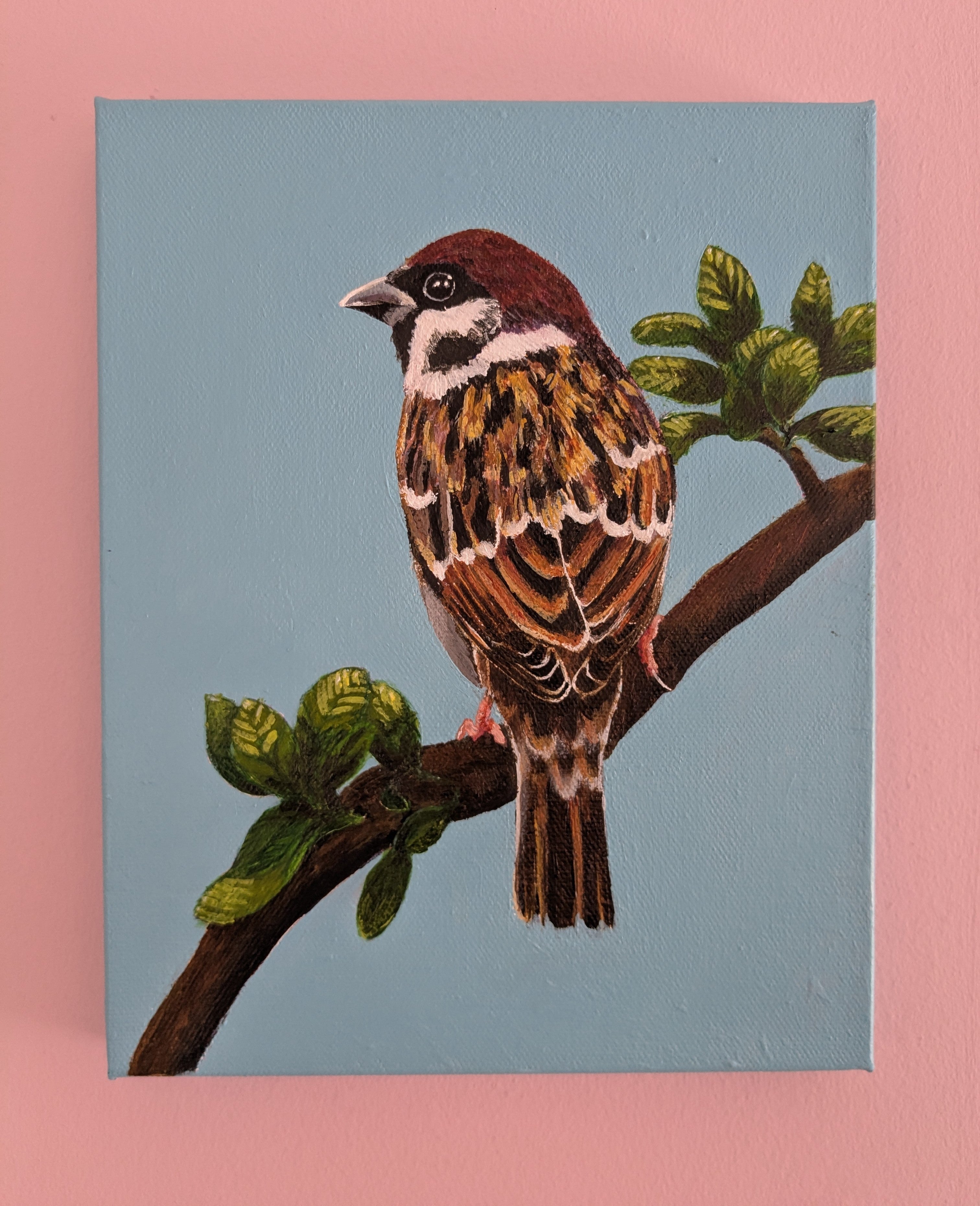 Sparrow by Suzanne Allatt. Acrylic on canvas