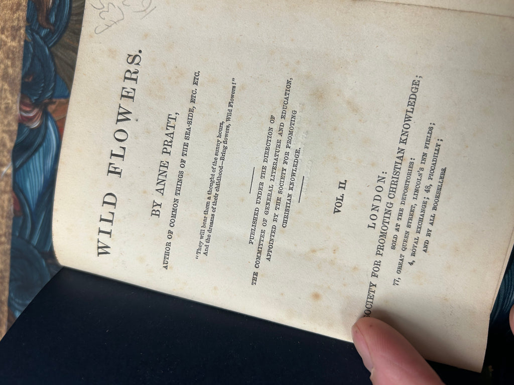 Wild Flowers- Anne Pratt. Vol II. (163)