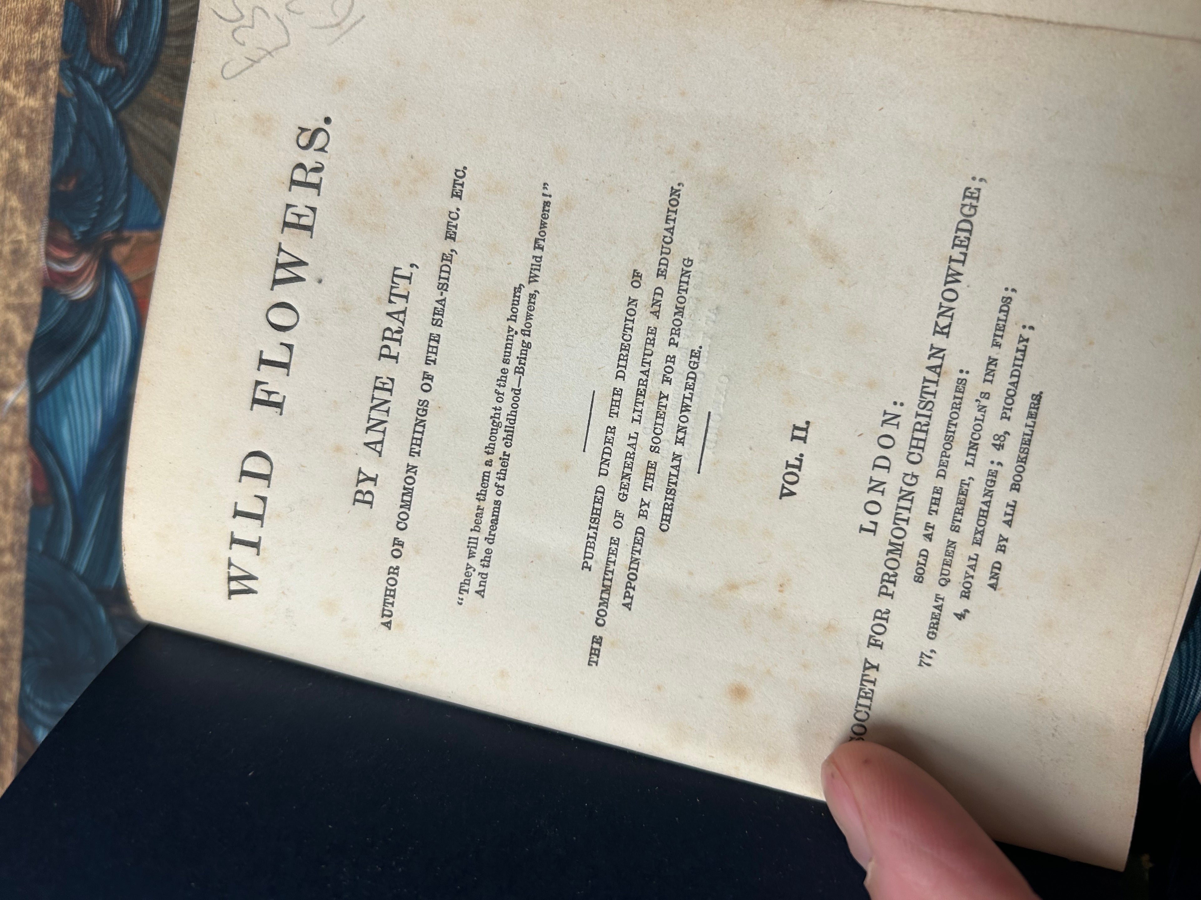 Wild Flowers- Anne Pratt. Vol II. (163)