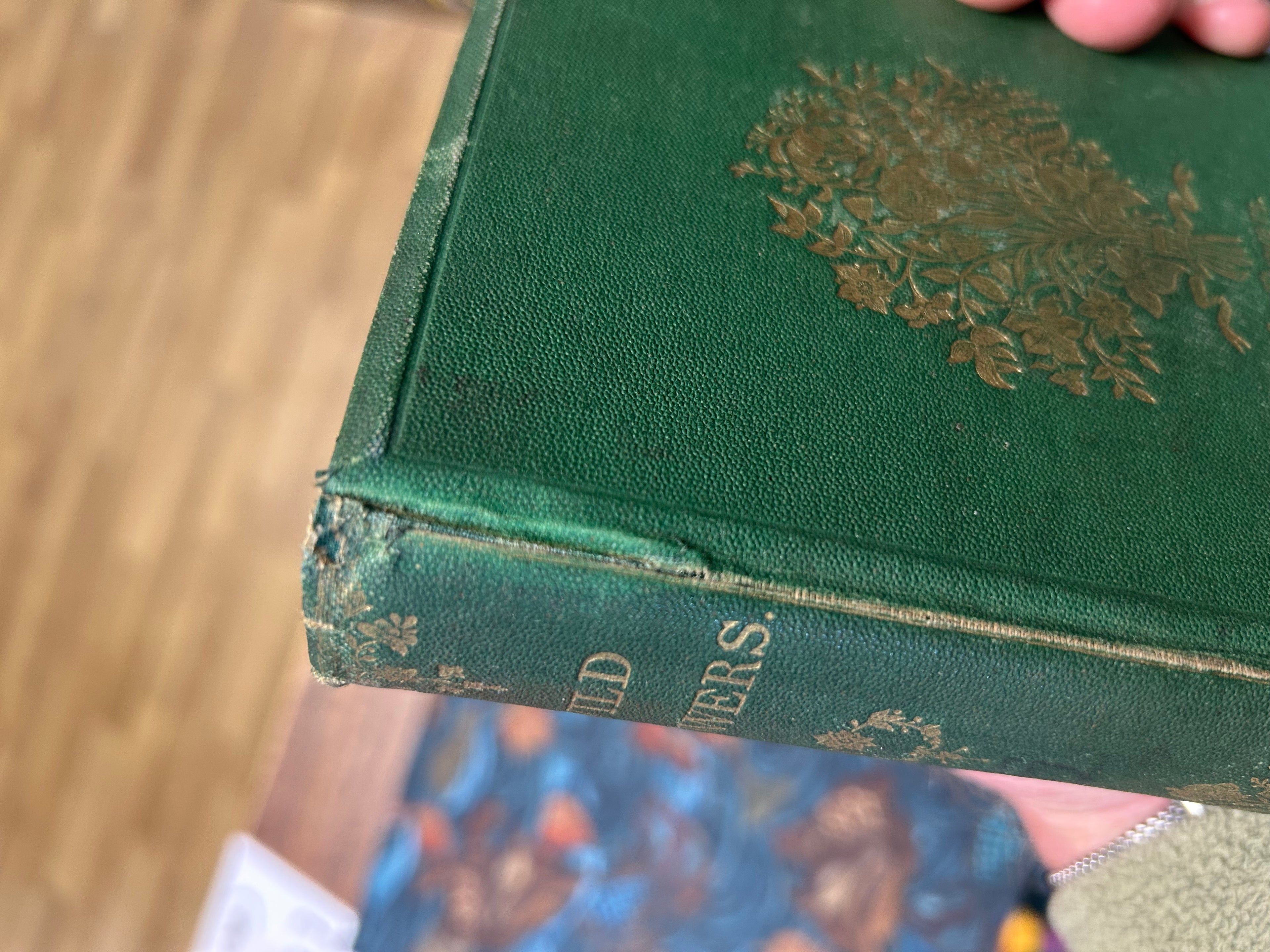 Wild Flowers- Anne Pratt. Vol II. (163)