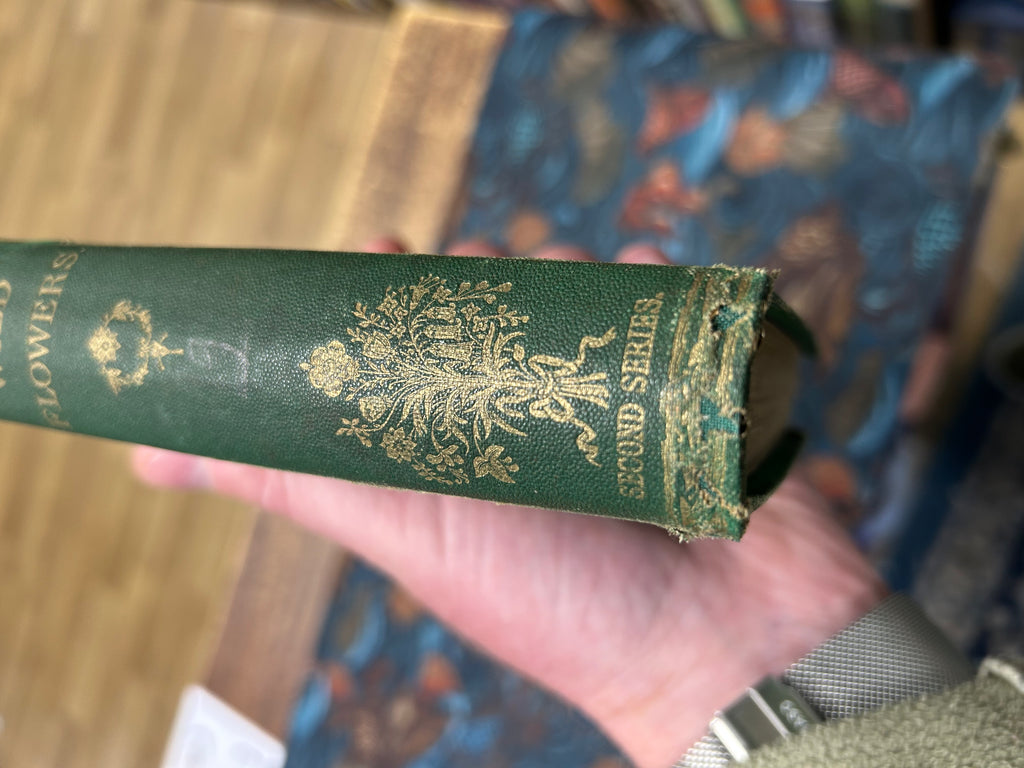 Wild Flowers- Anne Pratt. Vol II. (163)